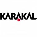 Karakal